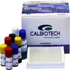B12 BIOHIT